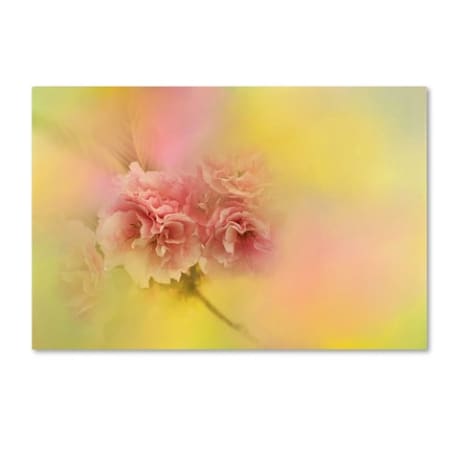 Trademark Fine Art Jai Johnson 'Spring Cherry Blossoms' Canvas Art, 12x19 ALI14318-C1219GG